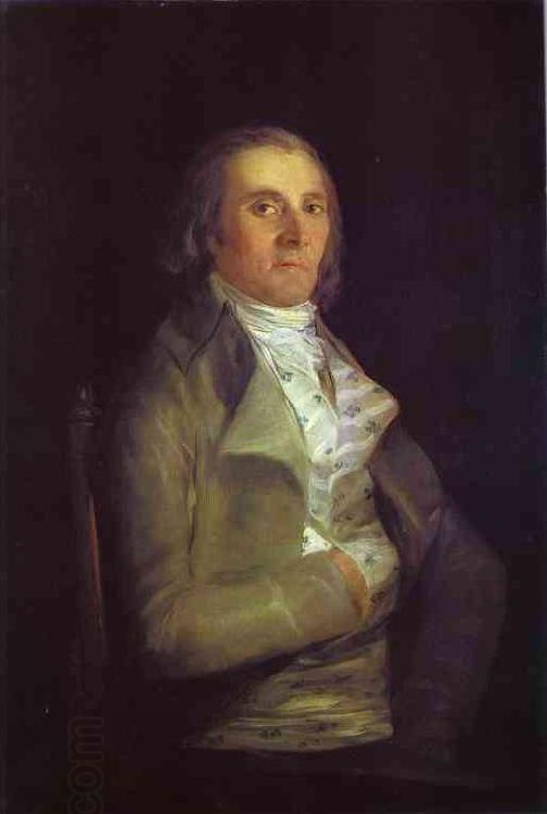 Francisco Jose de Goya Portrait of Andres del Peral oil painting picture